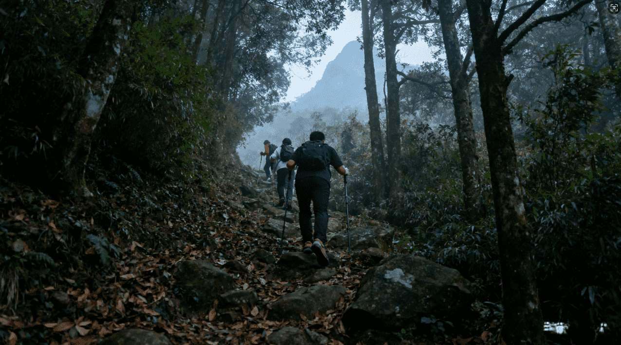 完整介绍风驰加速器免费版安卓功能特色